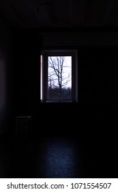 rectangular light from the window in a dark photo studio. in the window there is a tree that grows on the street.