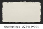 A rectangular piece of light beige or off-white paper with natural, rough, torn deckle edges, resting on a dark, plain background, showcasing its textured surface.