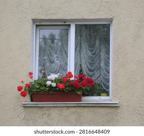 A rectangular pot with white and red flowers is placed on the windowsill of a modern double-glazed window in a yellow wall of a residential building