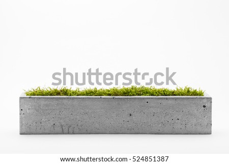 Similar – Image, Stock Photo Concrete flower pots with pansies in yellow and purple form line pattern in the sun