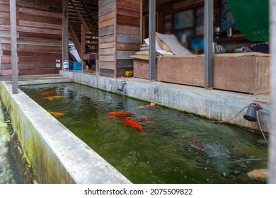 Rectangular shaped pond of the koi or carp fish in the wooden house with daybed for relaxation.