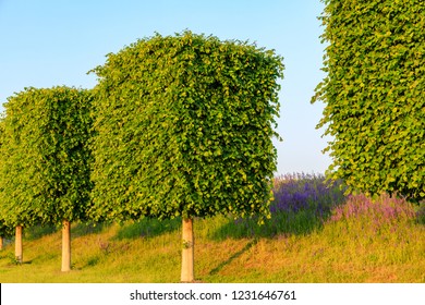 370,982 Rectangular shapes Images, Stock Photos & Vectors | Shutterstock