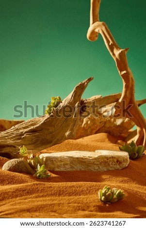 Rectangular stone slabs with rough, brown surfaces placed on sand. Desert landscape with withered tree trunks randomly stacked on top of each other. Tiny succulents growing from cracks in wood.