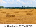Rectangular straw bales on a field after the grain harvest