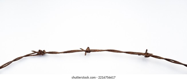 Rectangular white background with rusty barbed wire.A wire with spikes on a white isolate. Detention. Recollection of prisoners.
