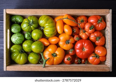 Rectangular wooden box filled with green, yellow and red tomatoes. Organic farm produce, rustic kitchen background
