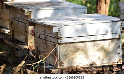 Natur Und Technik Bilder Stockfotos Und Vektorgrafiken Shutterstock