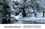 Rectory wood black and white with reflection in the pool of trees and icehouse