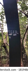 Recurve Bow Deer Kill Count