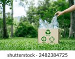 Recycle reduce reuse in zero waste concept. Hand holding plastic bottle put in a box recycling to assortment management for sustainable environment. garbage recycling to eco friendly.