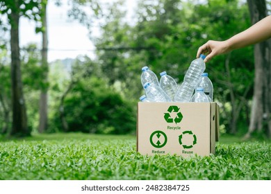 Recycle reduce reuse in zero waste concept. Hand holding plastic bottle put in a box recycling to assortment management for sustainable environment. garbage recycling to eco friendly.