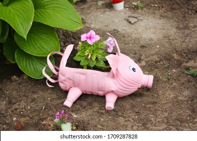 Recycled Colored Plastic Flower Pot Is Made Of A Plastic Bottle For Decoration In The Form Of A Pink Pig. Recycled Plastic Bottle.