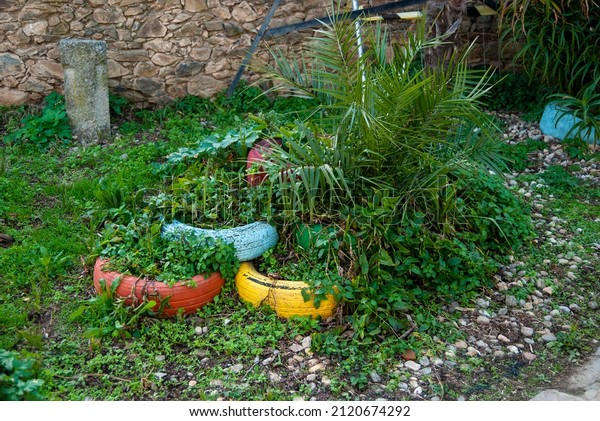 Recycled colorful car tires\
turned into planters for plants in garden in Granadilla,\
Extremadura