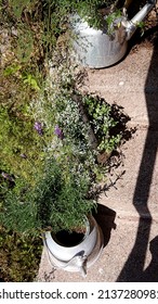 Recycled Garden Design, Old Cookware Turn Into Garden Flower Pots. 