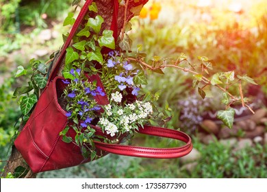 Recycled Garden Idea. Hanging Flower Plant Basket Made Of A Vintage Bag. Stock Photo Of A DIY Eco Yard