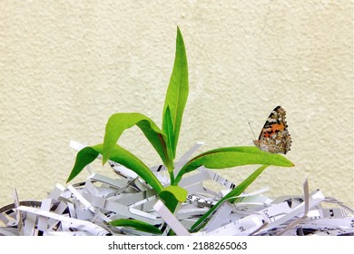 Recycled Paper And Butterfly. Recycle, Reuse, Reduce Young Shoot Growing Through Recycled Shredded Paper With A Butterfly.    