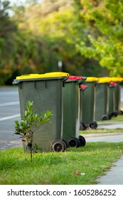 Recycling Bin Stands Outdoor. Australia, Melbourne. 