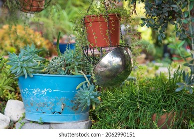 Recycling Garden Ideas: How To Responsibly Get Rid Of Old Cookware Pots And Pans.Cookware Turn Into Garden Flower Pots. Recycled Garden Design, DIY And Low-Waste Lifestyle.