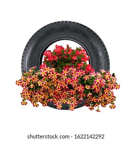 Recycling idea , Make an old tire a flower pot.
