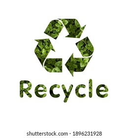 
Recycling mark The background is a leaf with white background - Shutterstock ID 1896231928