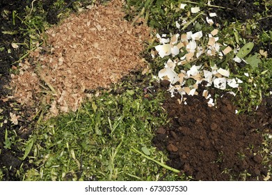 Coffee Grounds Gardening Stock Photos Images Photography