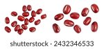 Red adzuki beans isolated on white background. Top view. Flat lay.