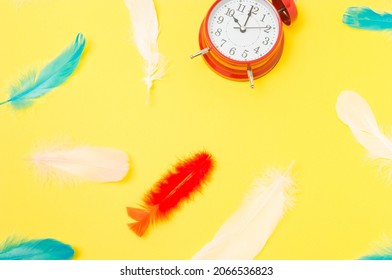 Red Alarm Clock And Feathers On Yellow Background. No Hurry Concept. Good Mood.