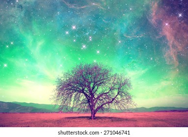 rote außerirdische Landschaft mit eigenem Baum über dem Nachthimmel mit vielen Sternen - Elemente dieses Bildes werden von der NASA eingerichtet