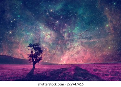 red alien landscape with alone tree silhouette in purple field- elements of this image are furnished by NASA - Powered by Shutterstock