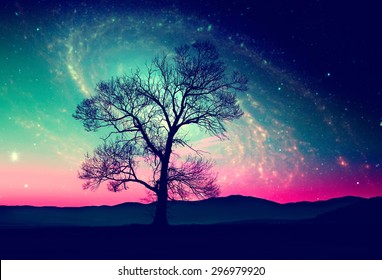 red alien landscape with alone tree over the night sky with many stars - elements of this image are furnished by NASA