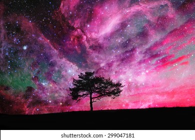 rote außerirdische Landschaft mit einsamer Baumsilhouette über dem Nachthimmel mit vielen Sternen - Elemente dieses Bildes werden von der NASA eingerichtet
