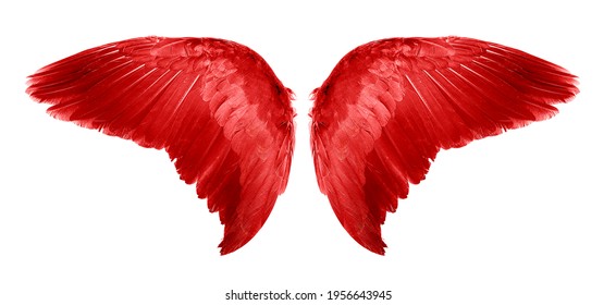 5,016 Blue And Red Angel Wings Images, Stock Photos & Vectors ...