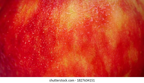 Red Apple Close Up Details Micro Shoot Skin Texture.
