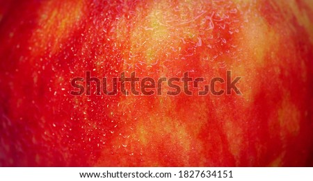 red apple close up details micro shoot skin texture.
