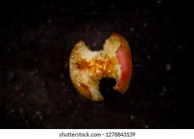 Red Apple Core Laying On The Ground