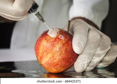 Red Apple In Genetic Engineering Laboratory, Gmo Food Concept