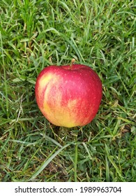 red apple, in the grass