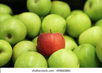 Red Apple And Green Apples. 