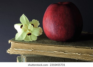 RED APPLE ON A STACK OF OLD BOOKS WITH A WILD IRIS FLOWER