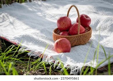 Red apples in a basket on a mat outdoor picnic.  - Powered by Shutterstock