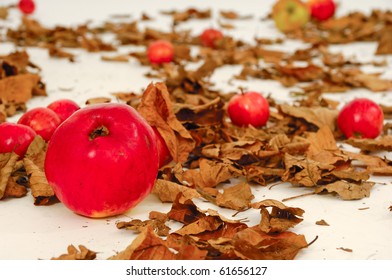 Red apples and old leafs. Studio shot.