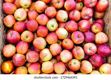 Red Apples On The Market Counter. Apples In Wooden Boxes On The Grocery Shelf. Close Up.