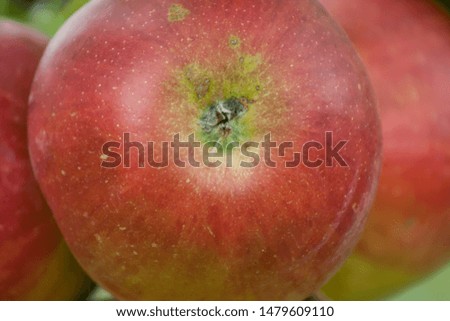 Image, Stock Photo roundabout. Food Fruit