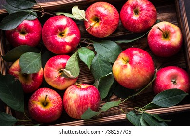 apple ston