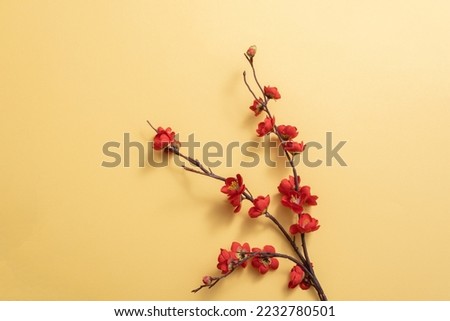 Red apricot blossom branch on yellow background. Flat lay. Chinese new year decoration. 