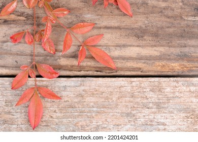 Red Autumn Leaves Laying On Weathered Wood Fall Season