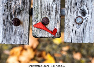 Red Autumn Maple Leaf On Park Bench. Maple Leaf On Wooden Bench.Top View.