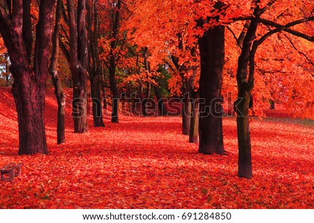 red autumn park as nice natural background