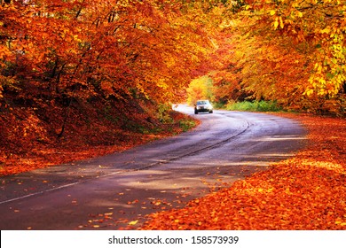 Red Autumn Sunny Road With Blurred Car In Deep Bulgarian Forest 