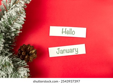 Red background with a pine cone and two white signs that say Hello January. The pine cone is surrounded by snow and the signs are placed on the red background